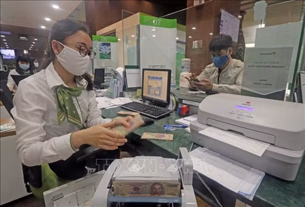 2020年越南信贷增长率可达8-9% ảnh 1