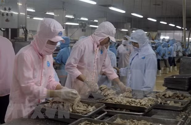 越美努力促进贸易平衡 实现互利共赢 ảnh 1