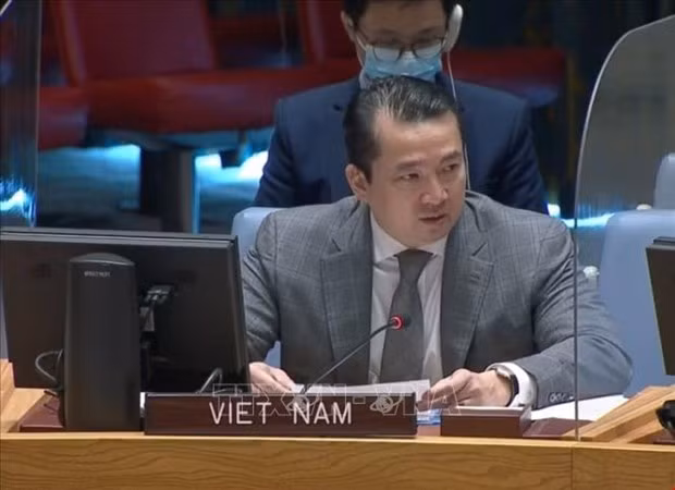 越南与联合国安理会：越南谴责使用化学武器的行为 ảnh 1