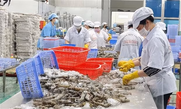 越南水产品潜力巨大的南非市场 ảnh 2