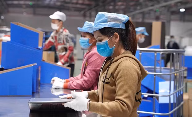 越南超过5000万名劳动者将拥有电子劳动手册 ảnh 1