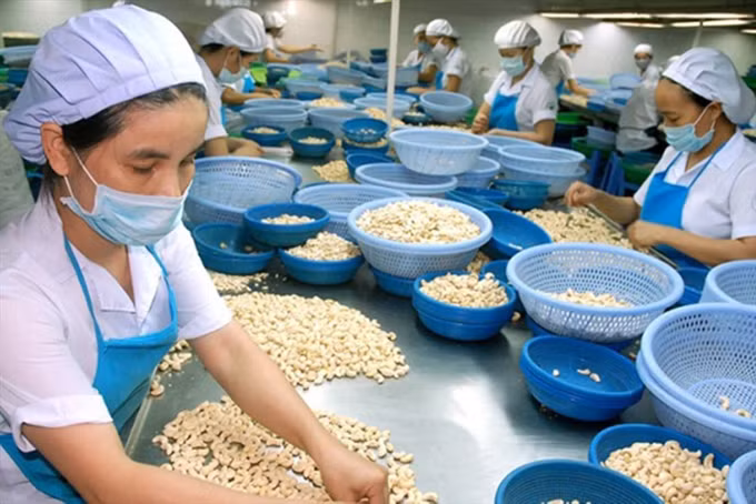 越南贸易顺差突破100亿美元大关 ảnh 2