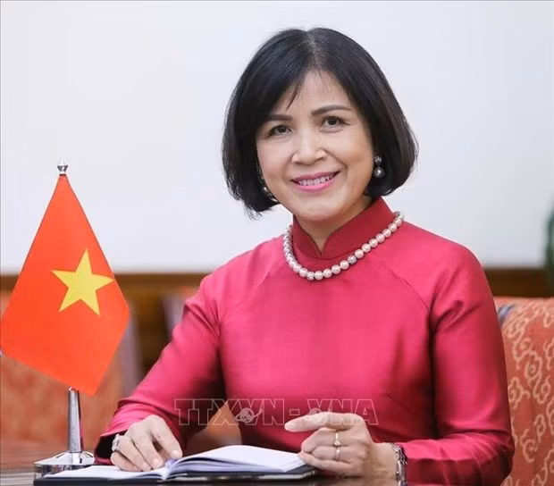 越南出席世贸组织对缅甸第二次贸易政策审议 ảnh 1