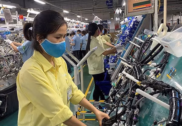 永福省支持各家手工艺作坊提升生产率 ảnh 1