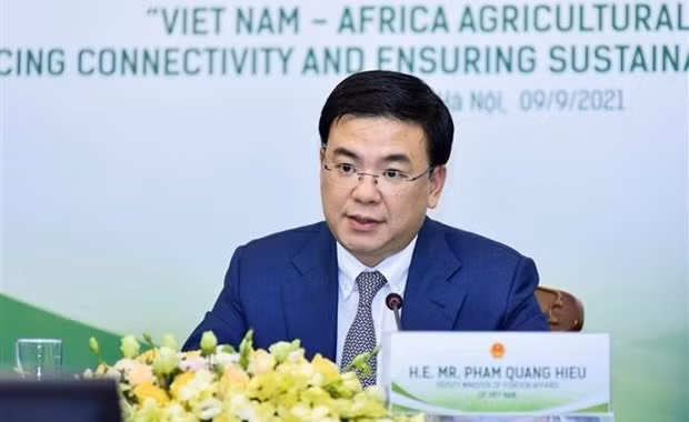 越南副外长范光效：越南希望推动与非洲国家的合作关系 ảnh 1