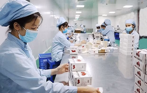 河内“绿区”努力恢复生产和经营活动 ảnh 1