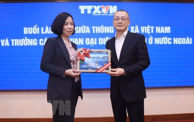 保持越通社与越南驻外代表机构之间的有效合作 ảnh 2