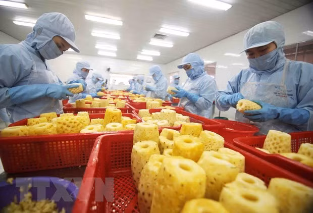 越南努力加大对俄罗斯和亚欧经济联盟的农水产品出口力度 ảnh 1