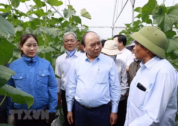 越南国家主席阮春福走访慰问海阳省老年人协会 ảnh 1