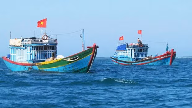 越南海洋岛屿：严惩在国外海域非法捕鱼的渔船 ảnh 1