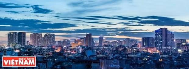 越南各地与比利时安特卫普省之间的合作潜力 ảnh 1