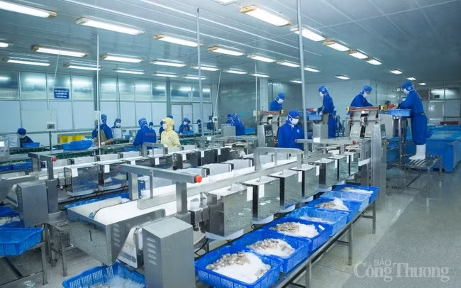 越南向签署自贸协定的市场发放42万份原产地证 ảnh 1