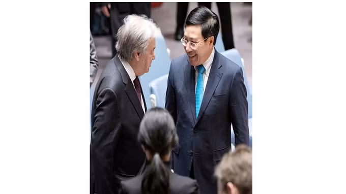 值得信任的桥梁 ảnh 1