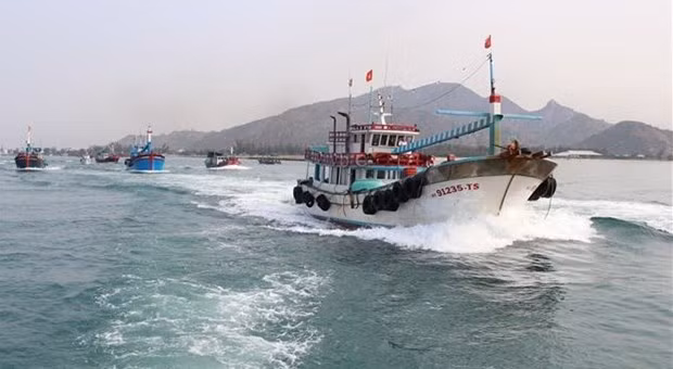  解除IUU黄牌警告：因地制宜地制定和补充打击IUU捕捞行为的措施 ảnh 1