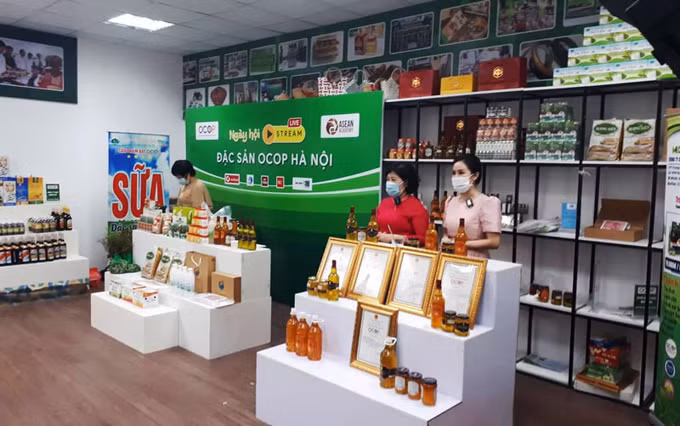 河内市加强对接促进“一乡一品”产品销售 ảnh 1