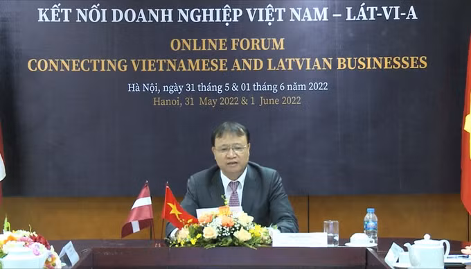 加强越南对拉脱维亚市场的出口力度 ảnh 1