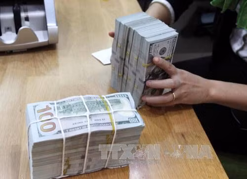 22日上午越盾对美元汇率中间价保持不变 ảnh 1