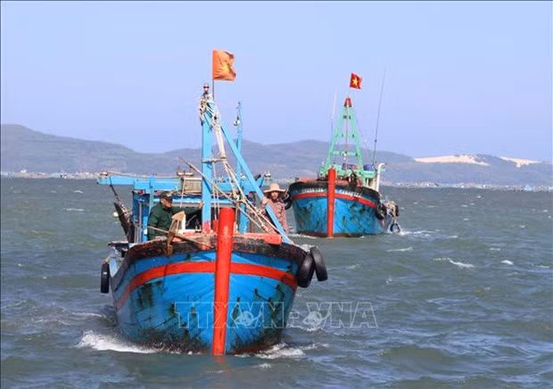 解除IUU“黄牌”警告：富安省切实做好教育宣传工作 现无违法违规渔船 ảnh 1