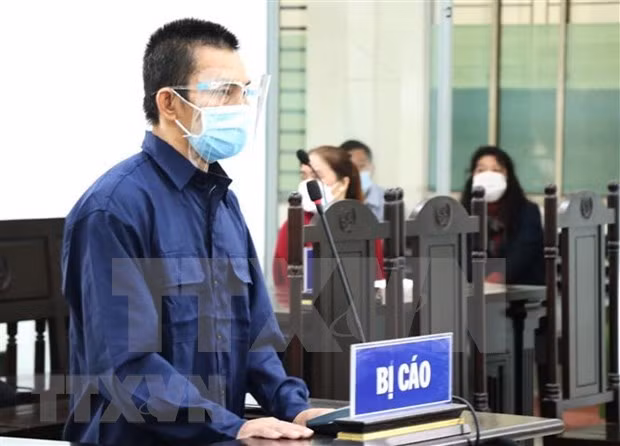  庆和省：被告人阮智尹被判处有期徒刑7年 ảnh 1