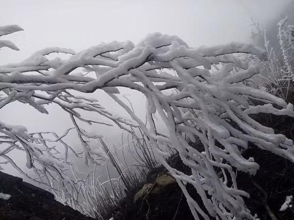 自1月17日起越南北部转冷 高山地区有可能出现霜冻 ảnh 1
