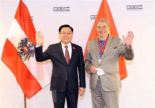 越南与奥地利经贸合作继续向前迈进 ảnh 1