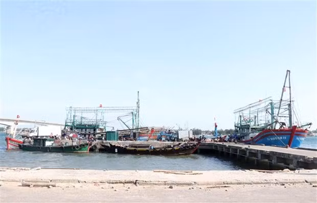 解除IUU“黄牌”警告：预计2022年第一季度欧盟委员会将赴越开展实地检查 ảnh 1