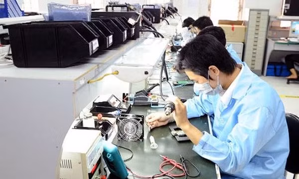 革新与创新：越南科学技术部与各地方携手推动科学技术发展 ảnh 2