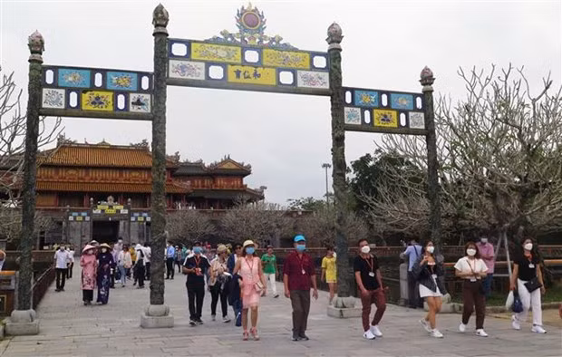 越南着力在新形势下提高旅游业的人力资源质量 ảnh 2