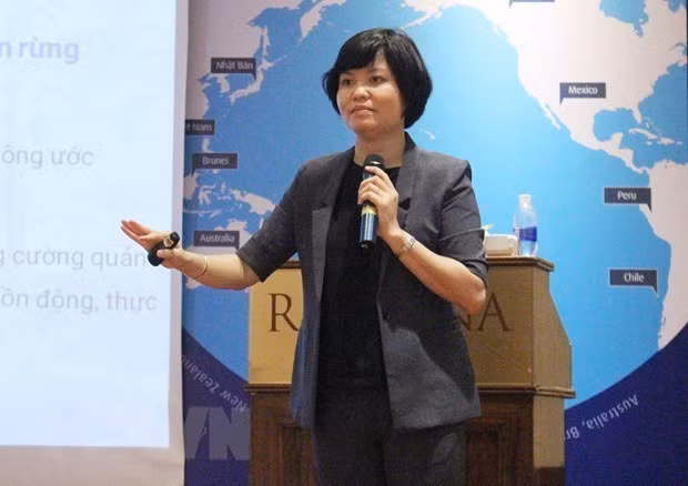 RCEP：越南企业的机遇与挑战 ảnh 2