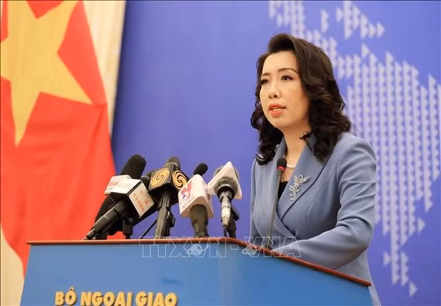 外交部发言人黎氏秋姮针对一些国际问题提出观点 ảnh 1