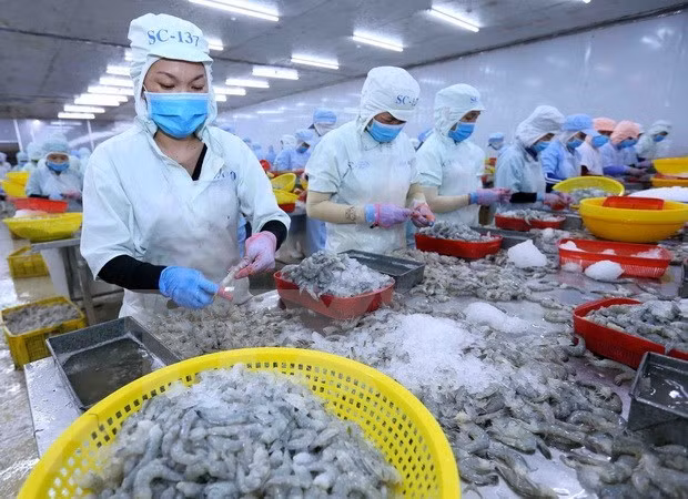 2021年水产品销售需求预计大幅回升 ảnh 1