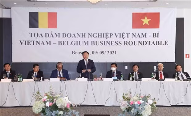 越南国会主席王廷惠会见欧洲各大集团代表 ảnh 4