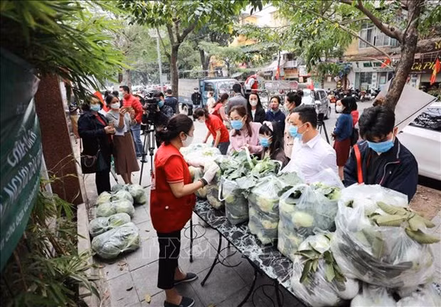 越南红十字协会启动疫区农产品爱心购活动 ảnh 2
