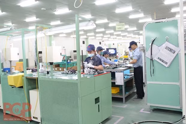 北江省应用生物技术和新材料技术来促进经济社会发展 ảnh 1