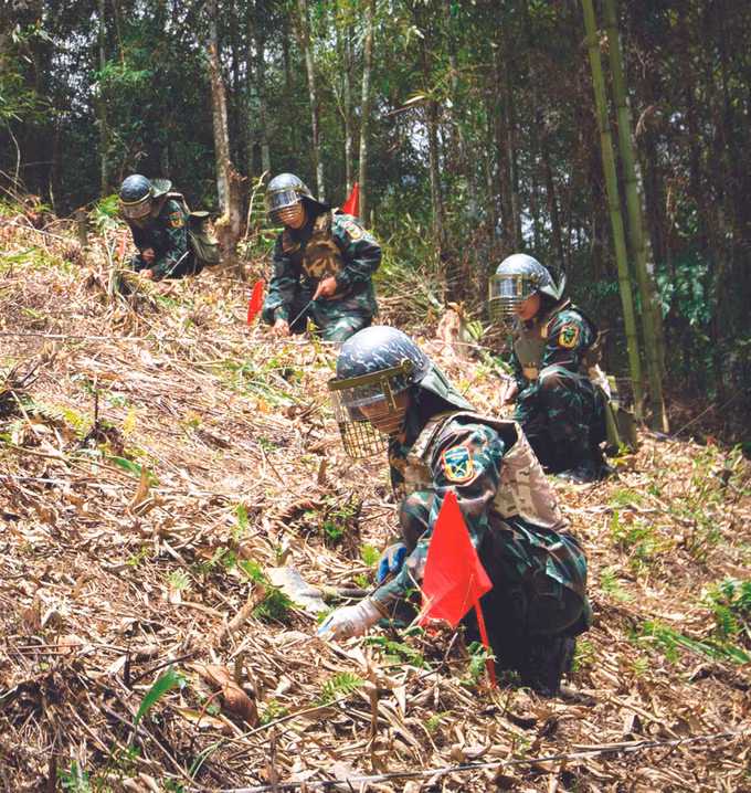 努力扫雷、清理土地 为北部边民创造生计 ảnh 5
