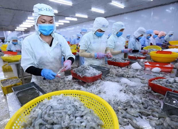  2021年第一季度越南农林水产品出口额增长近20% ảnh 2