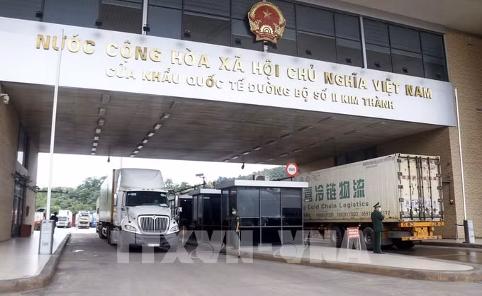 越南企业努力确保销往中国的水产品质量安全 ảnh 1