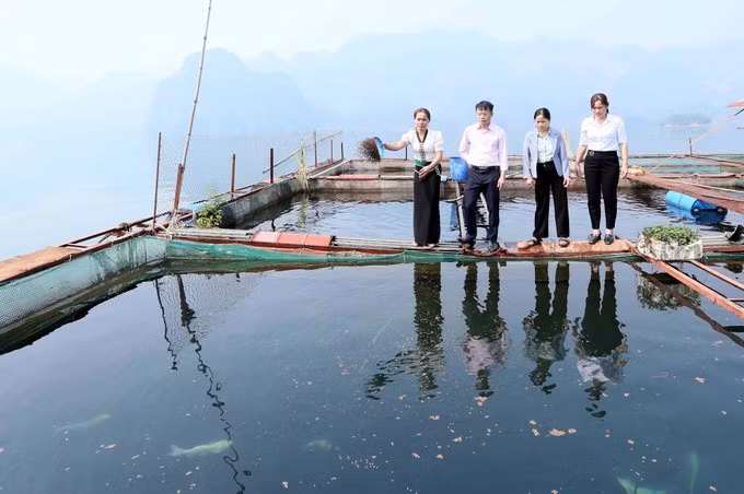 potal-son-la-chi-hoi-truong-phu-nu-nang-dong-trong-cong-tac-hoi-va-phat-trien-kinh-te-gia-dinh-7951881.jpg