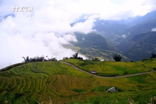 vna-phu4.jpg