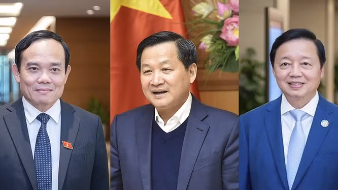 越南政府副总理工作任务分工 ảnh 1