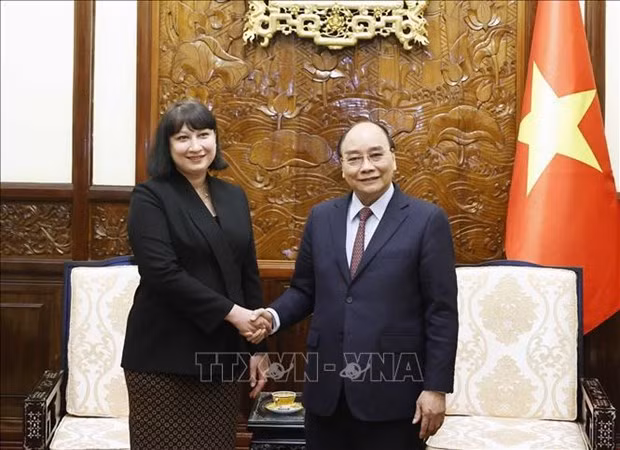 越南国家主席阮春福会见罗马尼亚驻越南大使克里斯蒂娜·罗米拉 ảnh 1