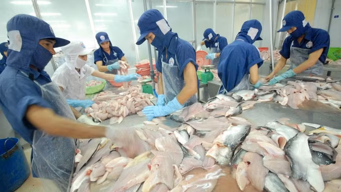 东盟各国加大对越南查鱼产品的进口力度 ảnh 1