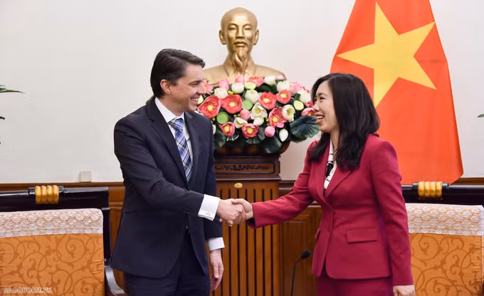 捷克支持加强越南与欧盟之间的关系 ảnh 1