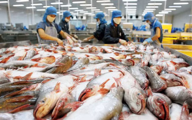 泰国增加从越南的查鱼进口 ảnh 1