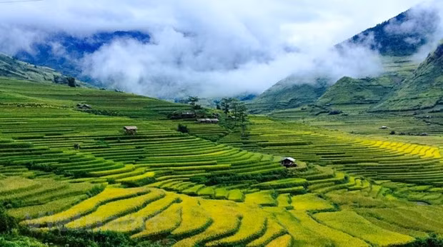 安沛省旅游强劲复苏 2022年接待游客逾150万人次 ảnh 1