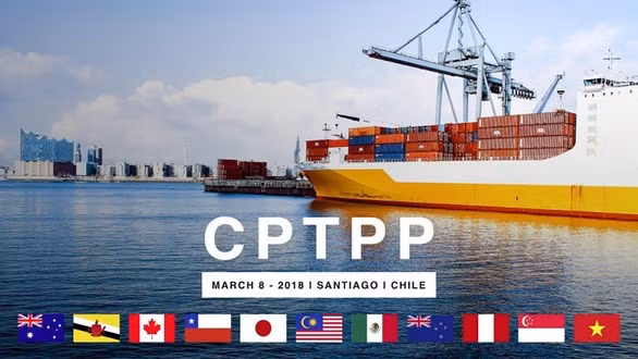 马来西亚：多国申请加入CPTPP充分体现该协定的重要性 ảnh 1