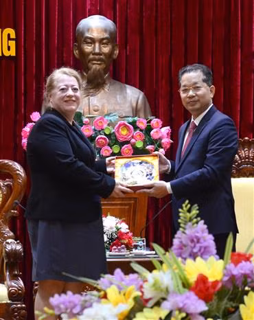 岘港市促进新加坡和俄罗斯投资者前来投资兴业 ảnh 2