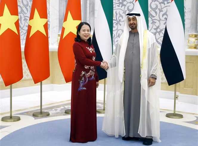 越南国家副主席武氏映春会见阿联酋总统穆罕默德•本•扎耶德•阿勒纳哈扬 ảnh 2