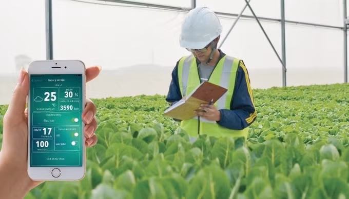 应用高科技助力农业转型 ảnh 1