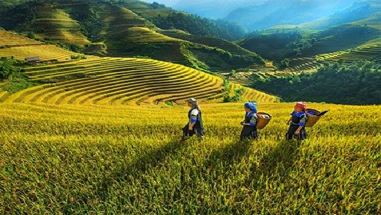 越南第十五届国会第二次会议：有针对性地选择少数民族地区和山区的重点投资项目 ảnh 3